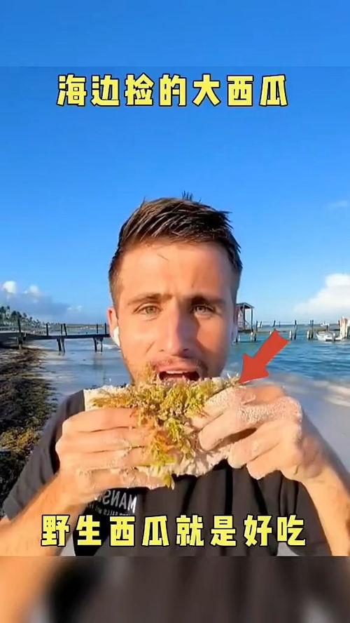 娱乐吃瓜配音视频大全最新,笑料百出，精彩纷呈！  第2张